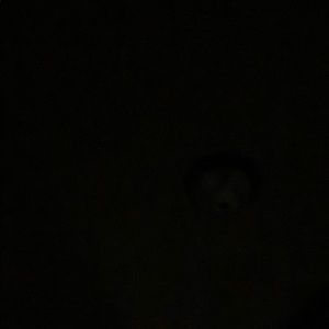 Meet your Posher, Syed